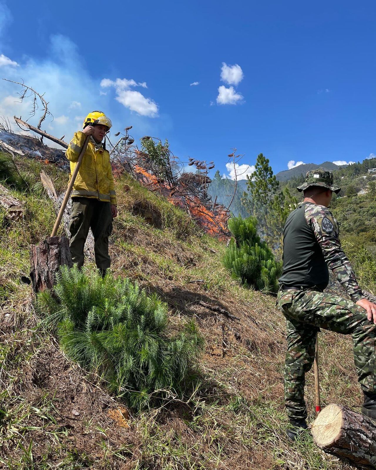 Autoridades y organismos de socorro intentan sofocar las llamas