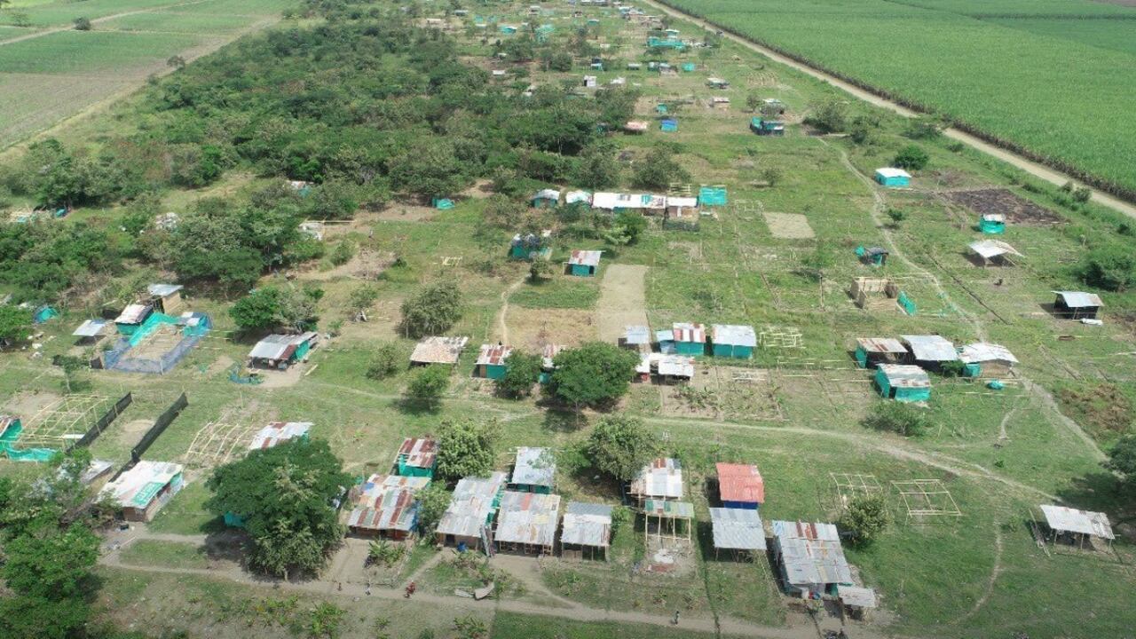 Unas 50 personas invadían el humedal Ibis, ubicado en el corregimiento Navarro de Cali.
