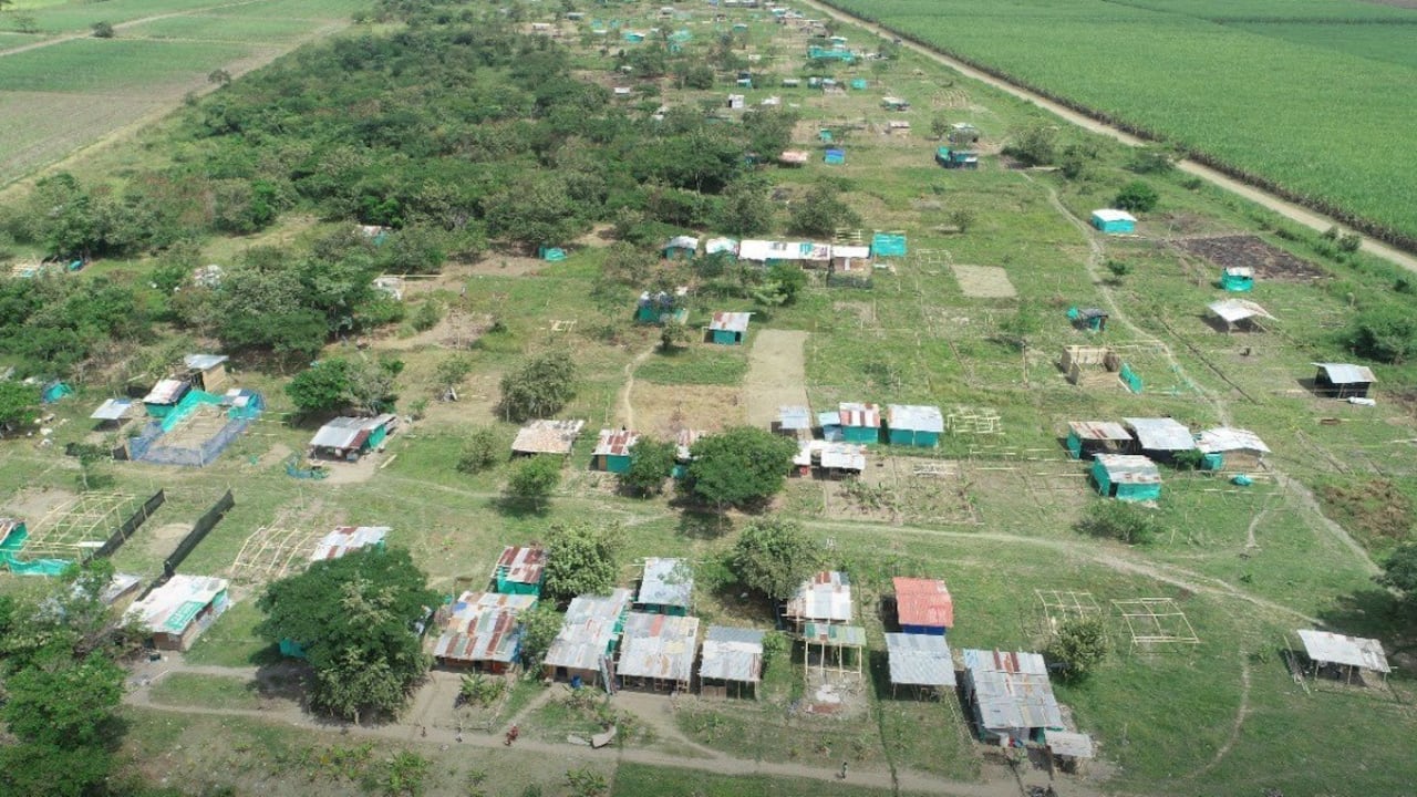 Unas 50 personas invadían el humedal Ibis, ubicado en el corregimiento Navarro de Cali.