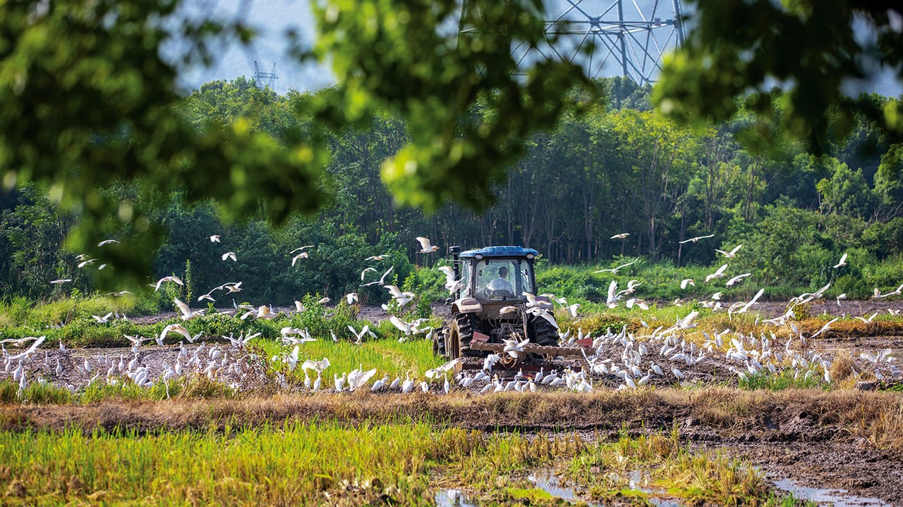 El nuevo Gobierno tiene la oportunidad de corregir el rumbo: impulsar una reforma agraria que genere desarrollo rural, pero que lo haga con reglas claras.