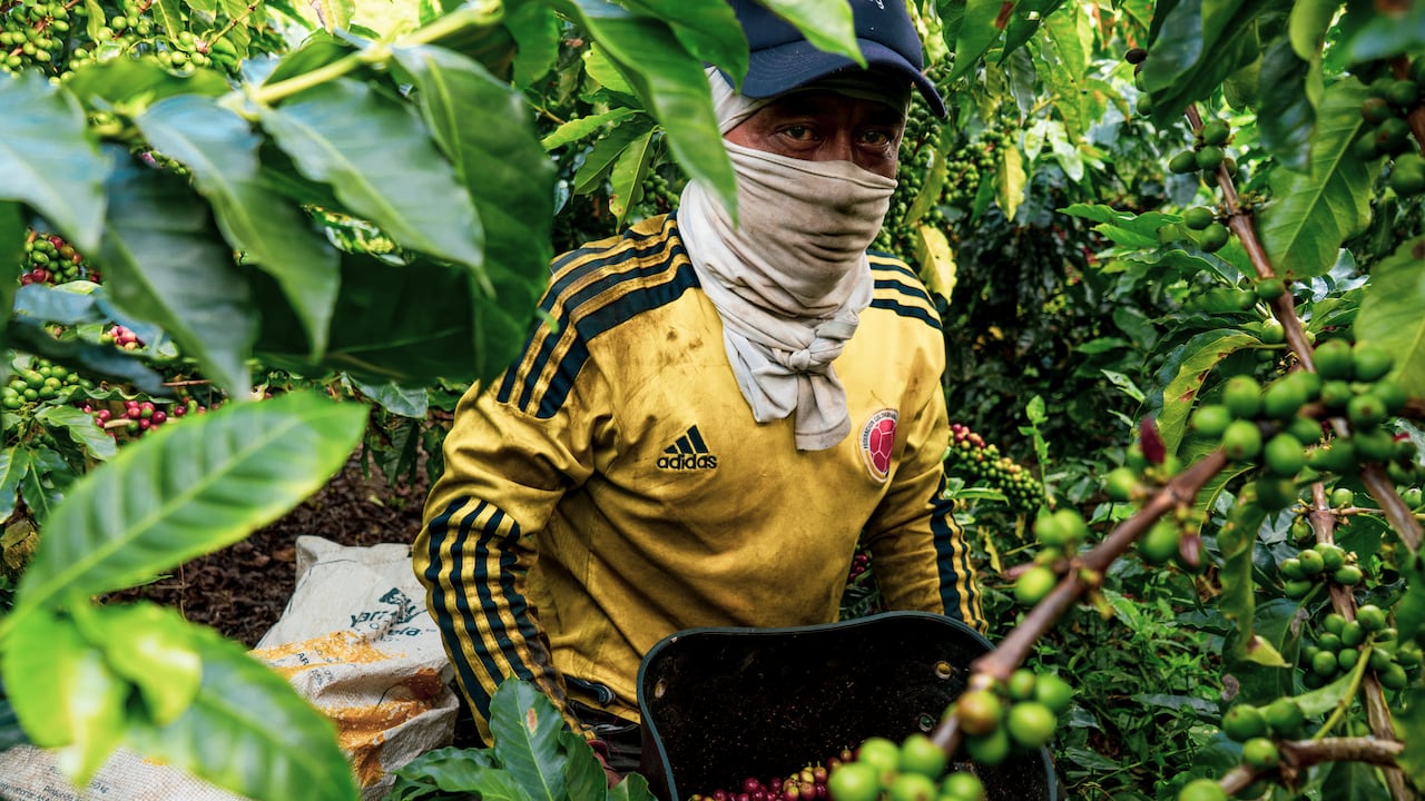 Finagro y el Ministerio de Agricultura anunciaron subsidios para reducir las tasas en los créditos agropecuarios.