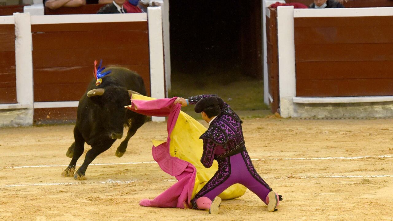 Joselito Castañeda, novillero de Bogotá. Cali, 11 de diciembre de 2021.