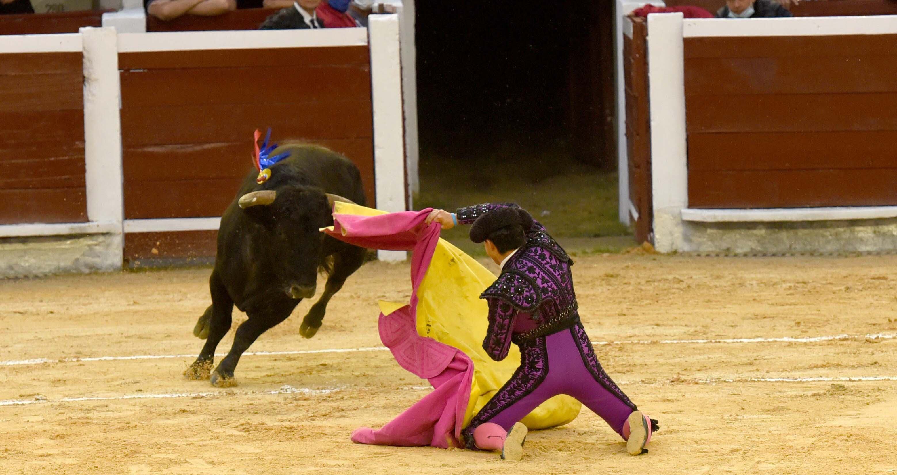 Joselito Castañeda, novillero de Bogotá. Cali, 11 de diciembre de 2021.