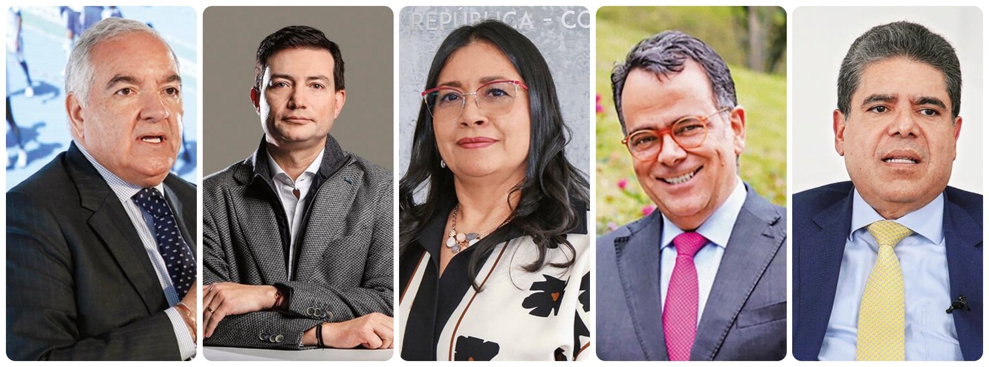 Edgardo Maya; Felipe Córdoba; Anayme Barón; Iván Darío Gómez Lee; Carlos Hernán Rodríguez.