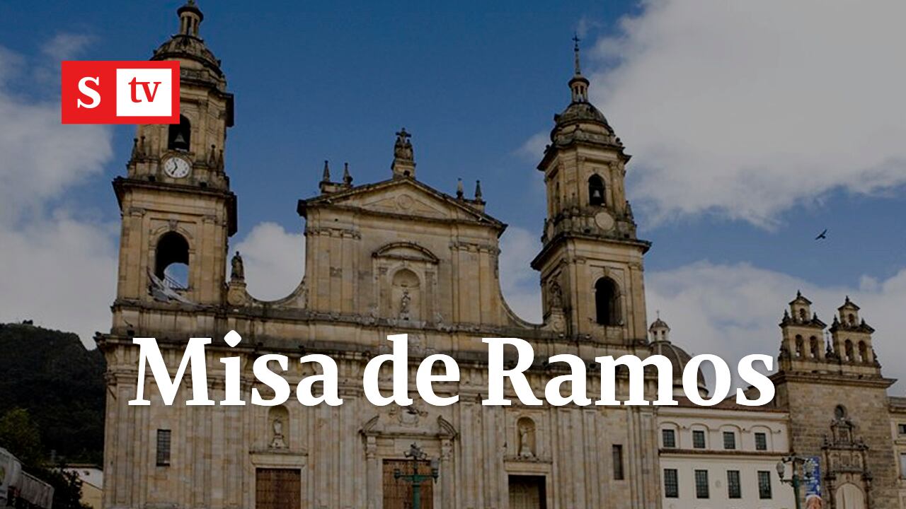 En vivo: Siga la misa del domingo de Ramos desde la Catedral Primada