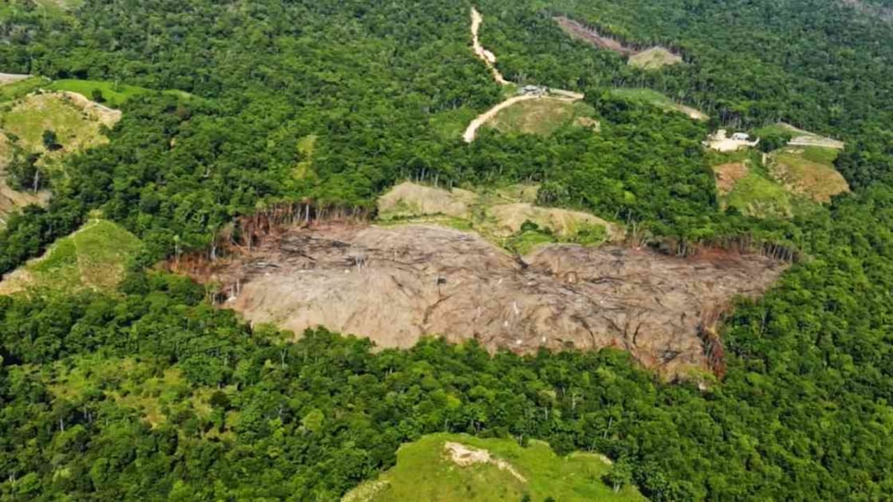 La deforestación en el Parque Nacional Catatumbo Barí se ha venido disparando en los últimos años. Foto cortesía: Ejército Nacional - Colombia hoy.