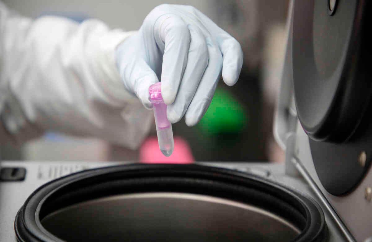 Así lo anunció la directora del INS, Martha Ospina, quien aseguró que en esta nueva etapa se tomarán alrededor de 100.000 muestras rápidas que priorizará a ocho grupos específicos. Cortesía Universidad El Bosque Foto: Guillermo Torres.