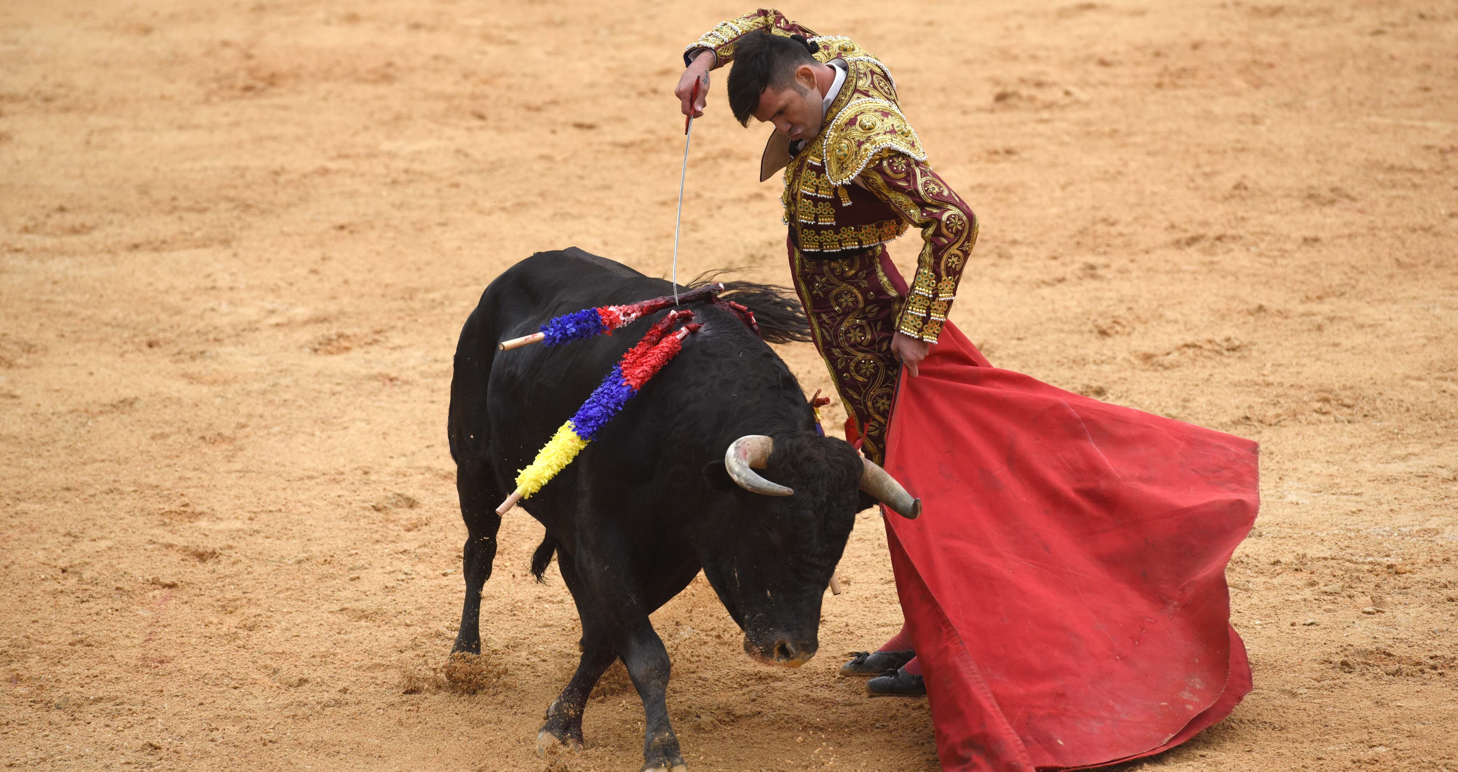 Juan Viriato, novillero de Cúcuta. Cali, 11 de diciembre de 2021.