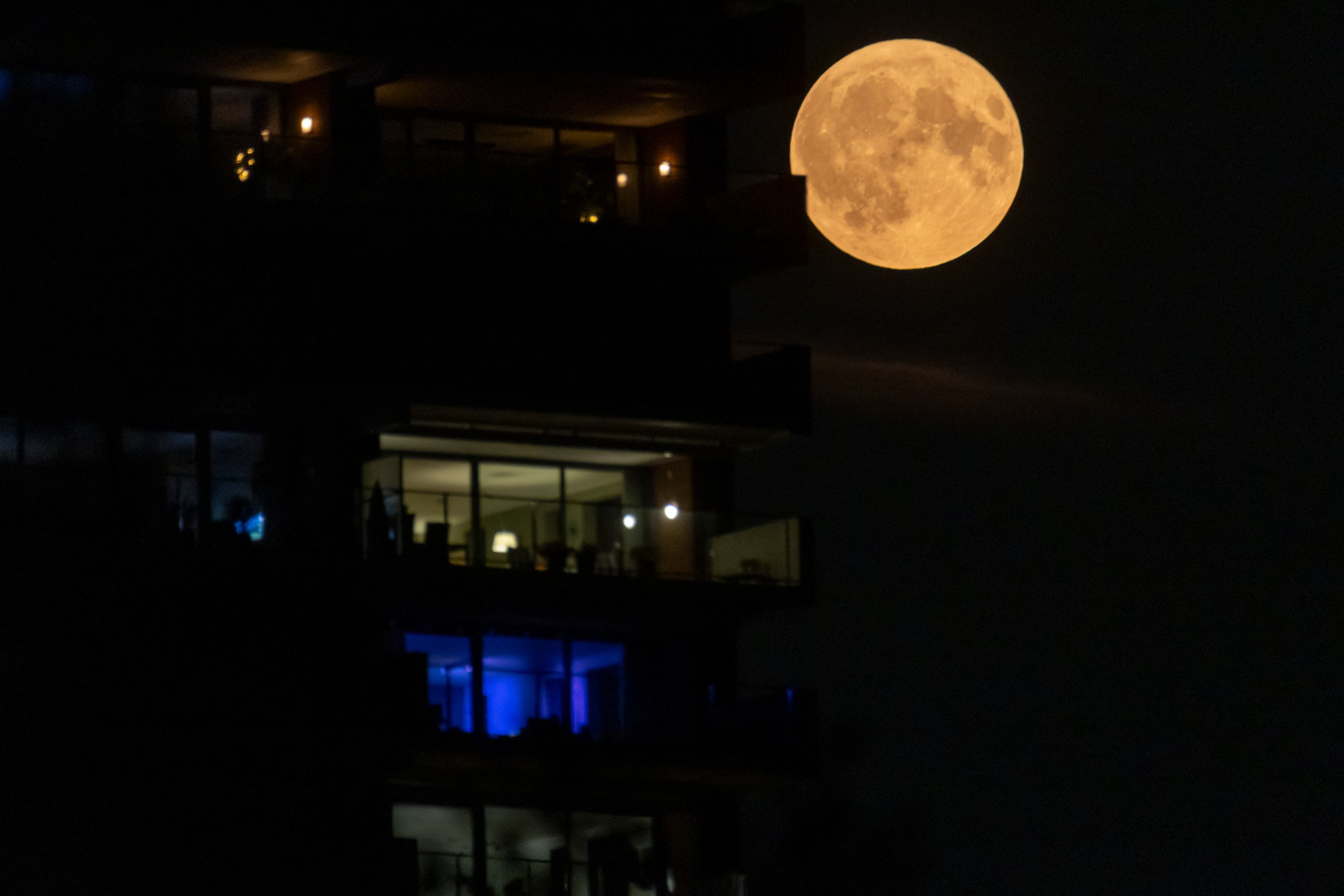Una rara luna llena súper azul aparece elevándose en el cielo nocturno sobre edificios altos, cerca de la ciudad de Eindhoven en los Países Bajos el 19 de agosto de 2024.