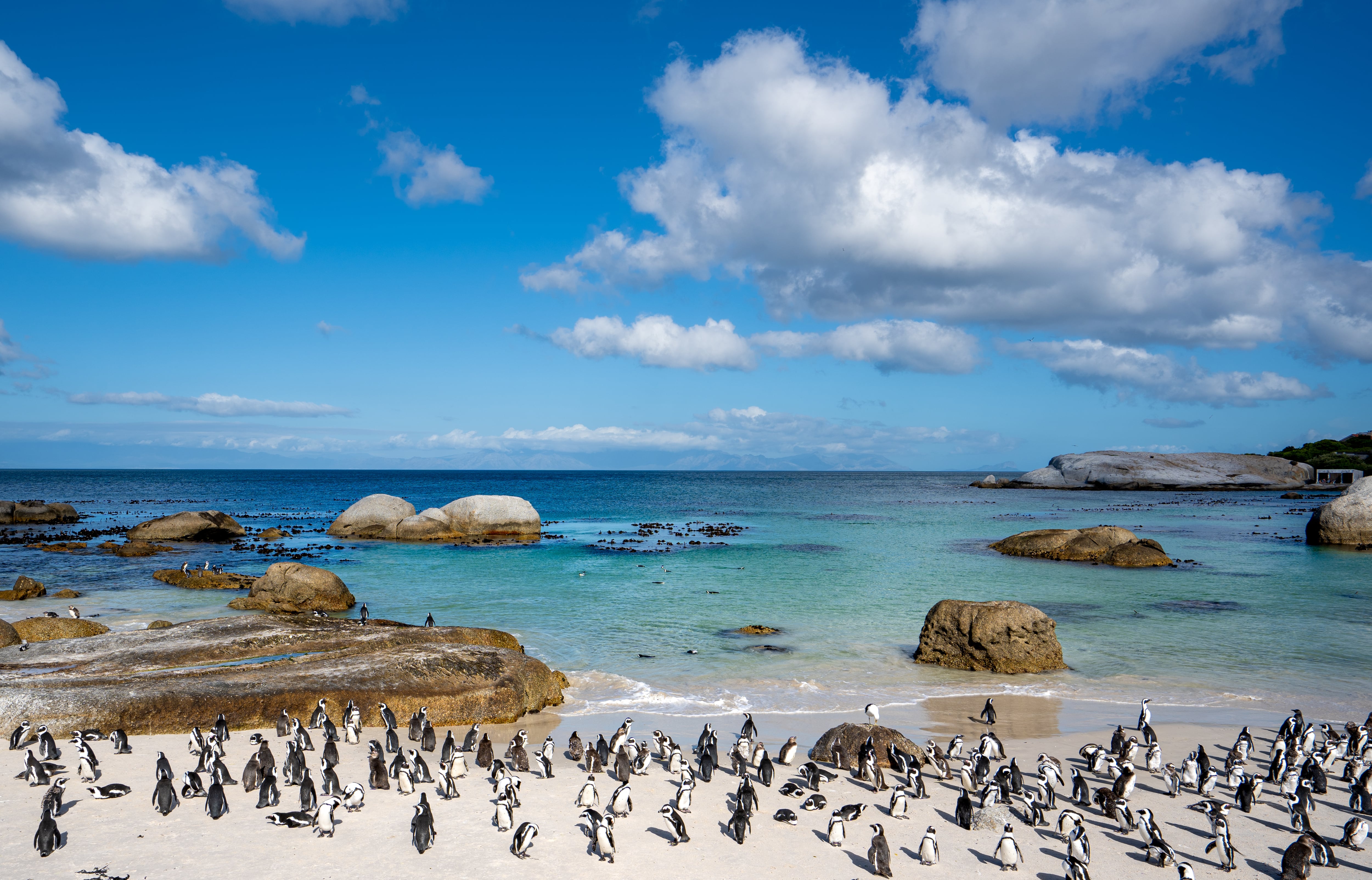 Boulders Beach (Simon’s Town, Sudáfrica)