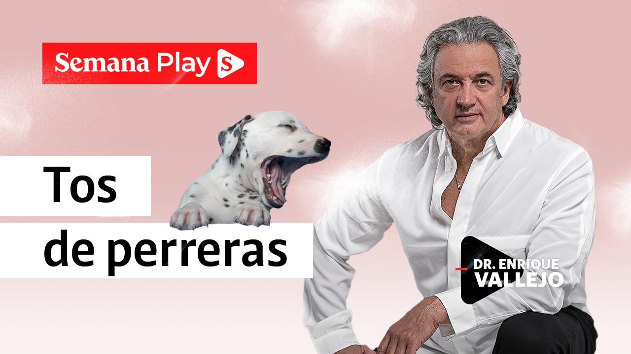 Tos de perreras | Enrique Vallejo en Salud Animal