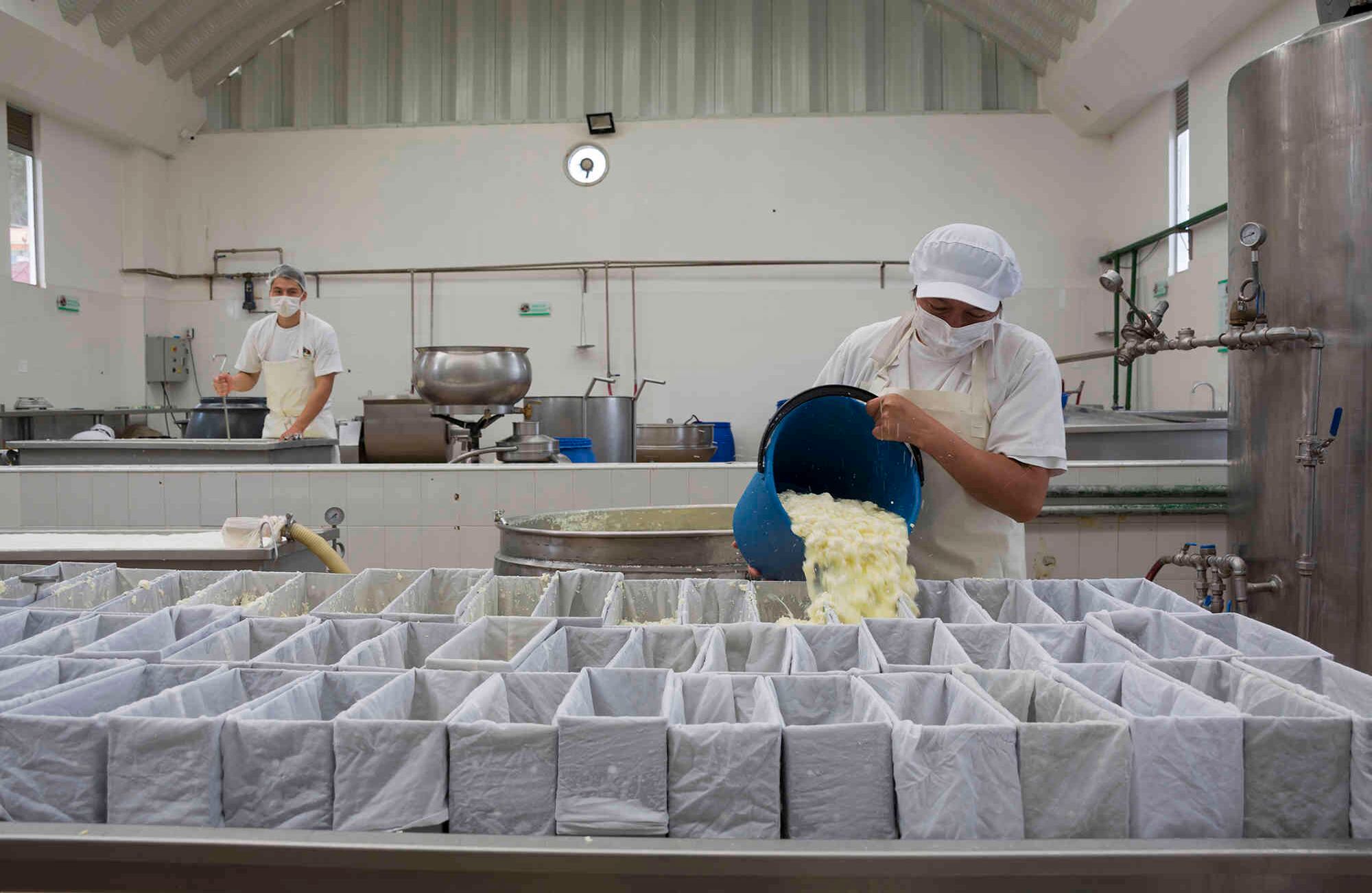 Foto: Gabriel González C. | Semana