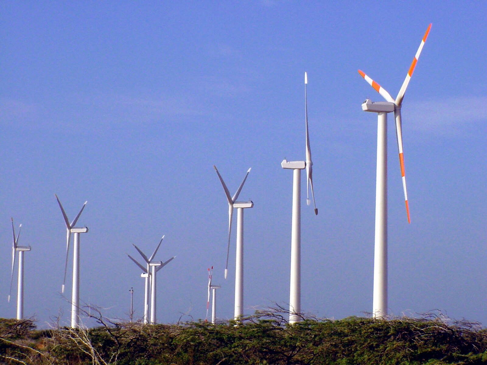 El parque eólico será desmontado tras 20 año de operación.