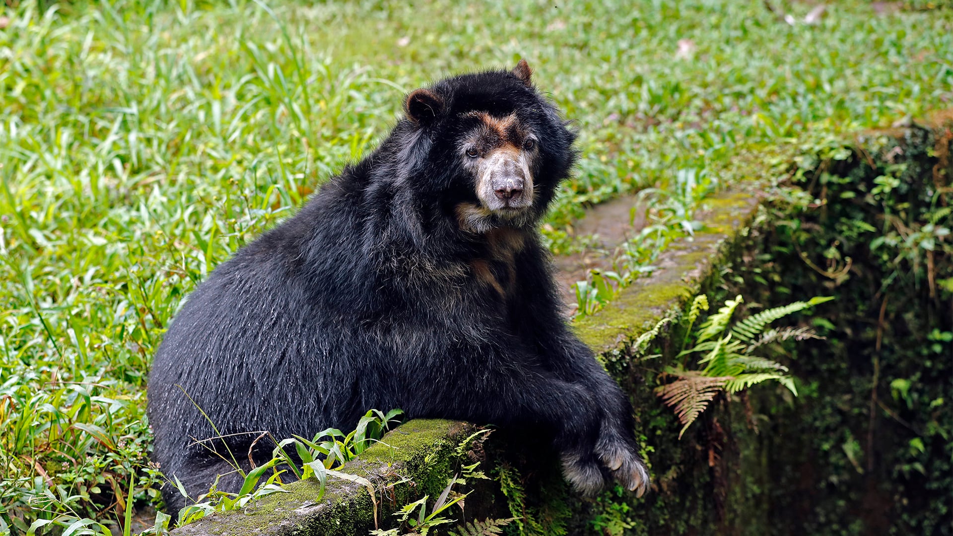 NO USAR, USO EXCLUSIVO MEJOR COLOMBIA, Especial Acueducto de Bucaramanga, Agua y Cambio Climático