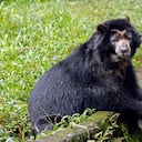 NO USAR, USO EXCLUSIVO MEJOR COLOMBIA, Especial Acueducto de Bucaramanga, Agua y Cambio Climático