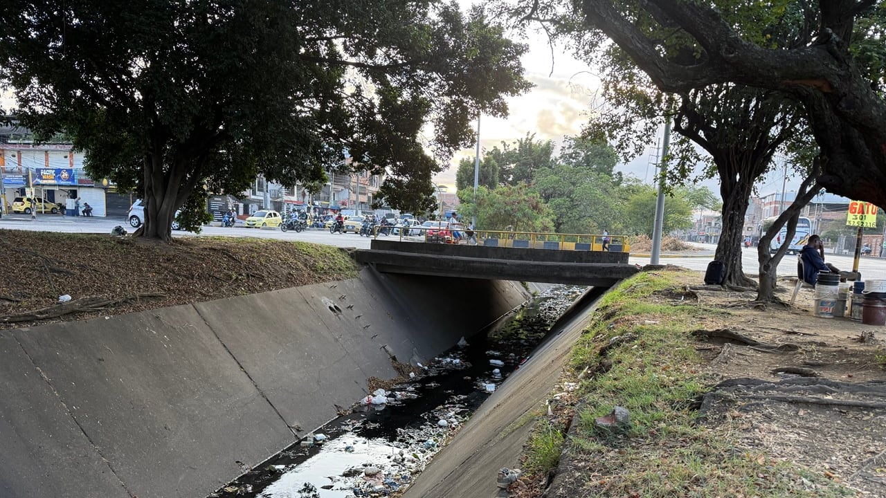 Las altas temperaturas registradas en la ciudad de Cali aceleran la descomposición de residuos orgánicos.