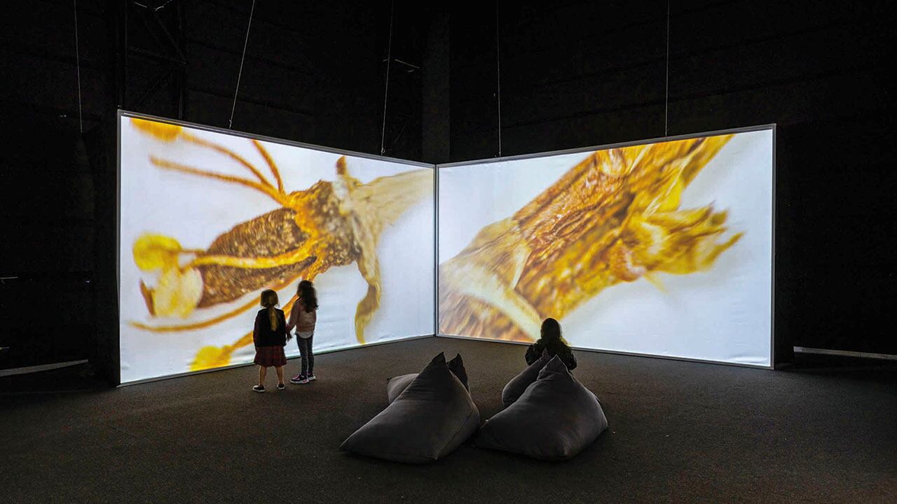 Ni los más viejitos ni las más chiquitos se quedaron por fuera...