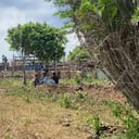 El padre de alias Castor fue asesinado en una finca en el municipio de Tubará, Atlántico