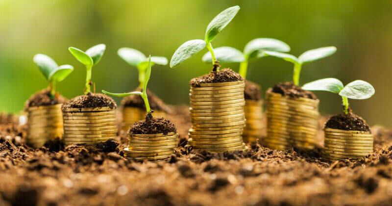 Colombia, según la Unesco, es el país más biodiverso por kilómetro cuadrado en el mundo, alberga el 14% de las especies de plantas conocidas en el mundo, solo superado por Brasil y a cerca de 4.500 especies de aves, un tercio de las especies del mundo.