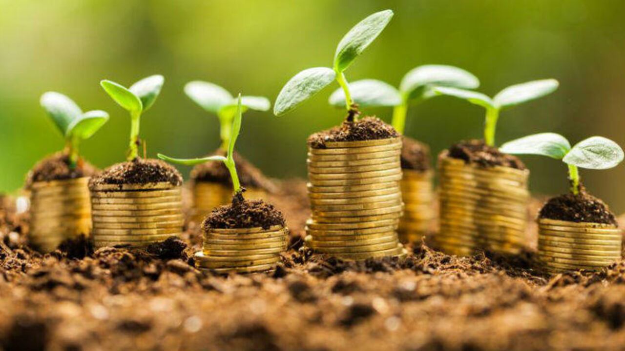 Colombia, según la Unesco, es el país más biodiverso por kilómetro cuadrado en el mundo, alberga el 14% de las especies de plantas conocidas en el mundo, solo superado por Brasil y a cerca de 4.500 especies de aves, un tercio de las especies del mundo.