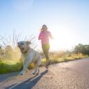 Perro haciendo ejercicio.