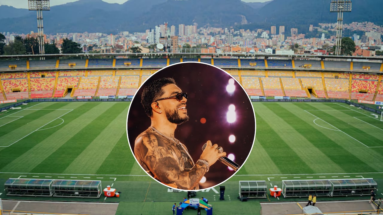 IDRD y los requisitos que se dan a Sencia antes del concierto de Ryan Castro.