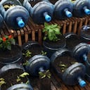 Los tiempos de cosecha dependen de cada producto. Sin embargo, se puede dividir en tres ciclos.Ciclo corto (1-2 meses): cilantro, rábano.Ciclo medio (3-4 meses): lechuga, acelga, apio, perejil crespo, perejil liso, arveja.Ciclo largo (4-6 meses): repollo, coliflor, brócoli, papa criolla, papa de año, remolacha y zanahoria. Las frutas se tardan cerca de 16 meses en dar cosecha