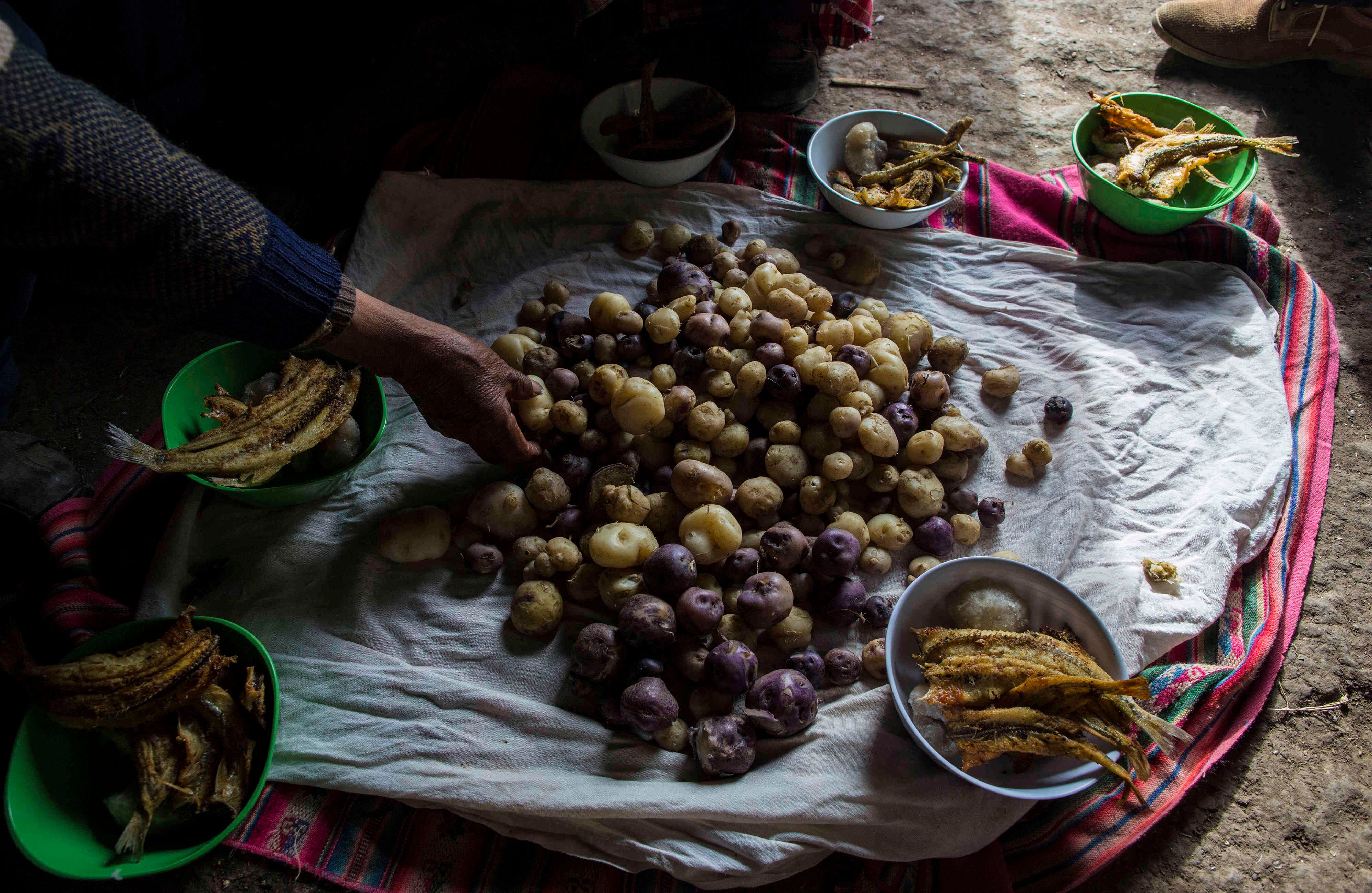 La familia Ávila prepara su almuerzo de patatas y pescado en el piso de su casa en Coata, un pequeño pueblo a orillas del lago Titicaca, en la región de Puno, Perú. Maruja Inquilla, una activista ambiental local, ha estado visitando a los pobladores para alertarlos de los peligros que acechan en sus alimentos y agua (AP Photo / Rodrigo Abd)