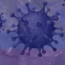 Así se lograría ponerle fin al coronavirus en Colombia