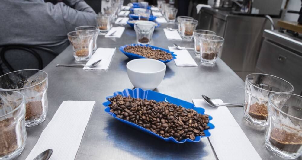 Café liofilizado llegó a récord de exportaciones este año. 