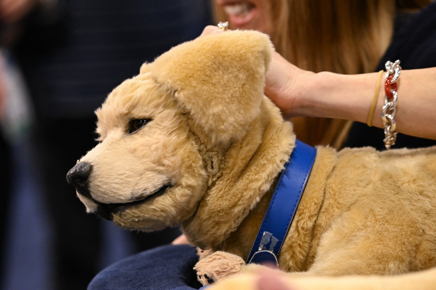 CES 2026 presentó un dispositivo que combina inteligencia artificial y afecto.