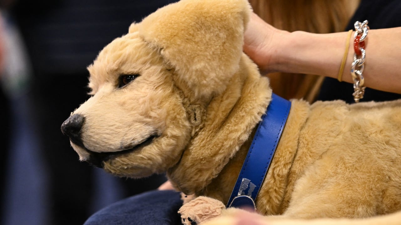 En Las Vegas, un cachorro artificial con sensores despertó la curiosidad de visitantes.