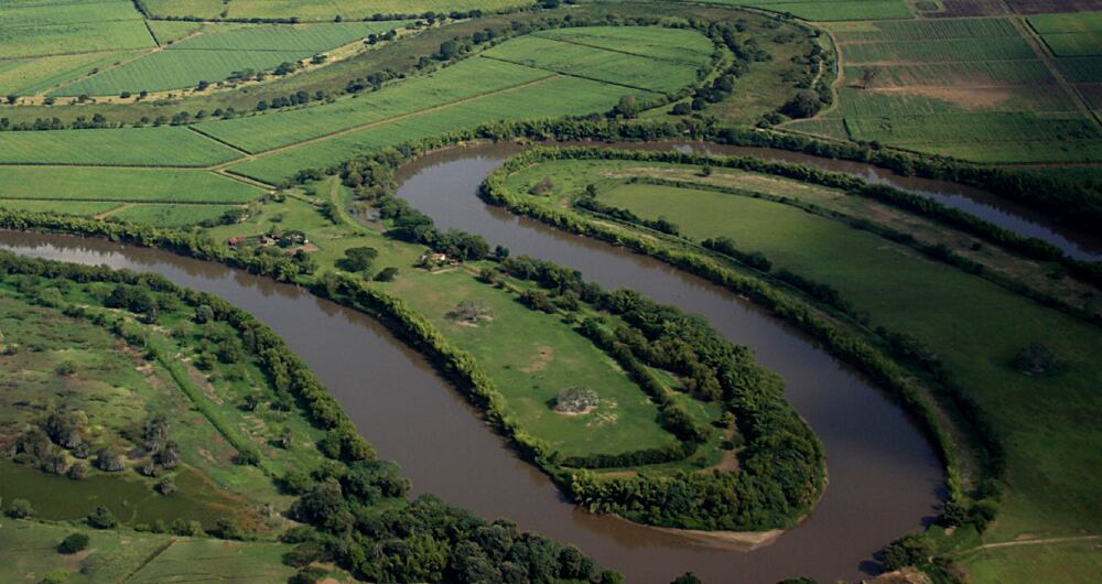 El Valle este es el mayor productor agrícola de Colombia, al concentrar 22% de la agroindustria del país y contar con el área de cultivos agroindustriales más grande, la cual superar la 360.000 hectáreas.