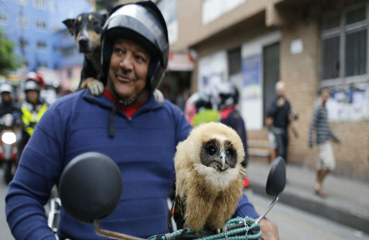Un hombre en su motocicleta posa para una foto con sus mascotas: un perro y un búho. Se encontraba llegando a una favela en Río de Janeiro, Brasil. (AP)