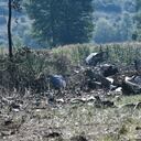 Esta fotografía tomada el 17 de julio de 2022 muestra escombros en el lugar del accidente de un avión de carga Antonov An-12 a pocos kilómetros de la ciudad de Kavala en Grecia. - Un avión de carga Antonov An-12 se estrelló cerca de Paleochori Kavalas en el norte de Grecia, dijo el cuerpo de bomberos. Testigos oculares dijeron que el avión estaba en llamas y que habían escuchado explosiones, informó la Agencia de Noticias de Atenas. (Foto por Sakis MITROLIDIS / AFP)
