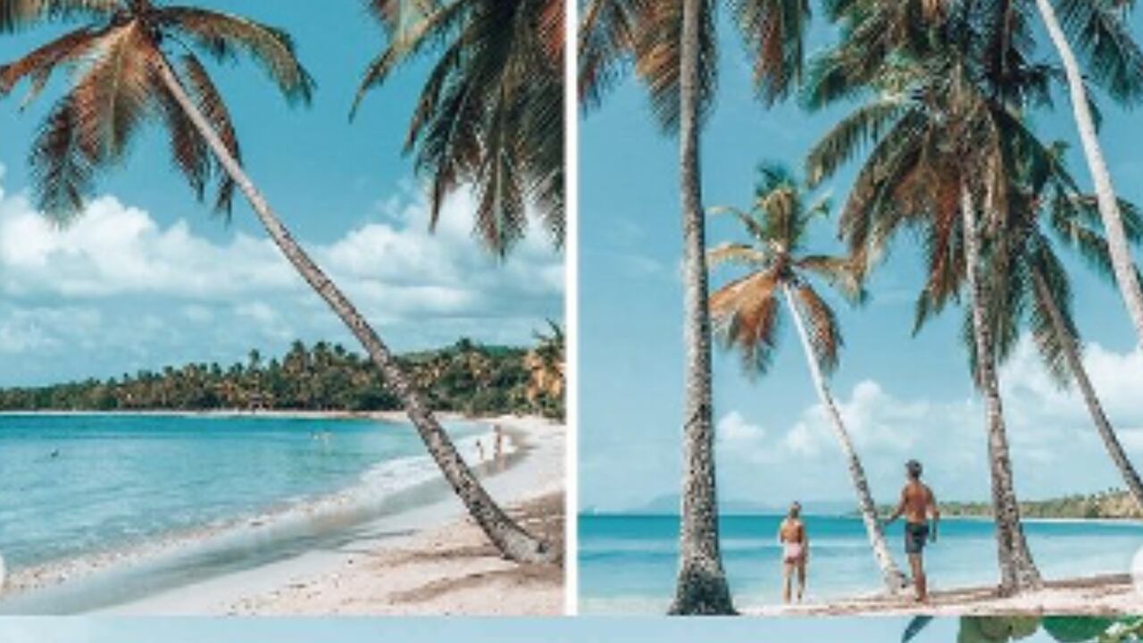 Martinica, una de las islas más encantadoras de las Pequeñas Antillas