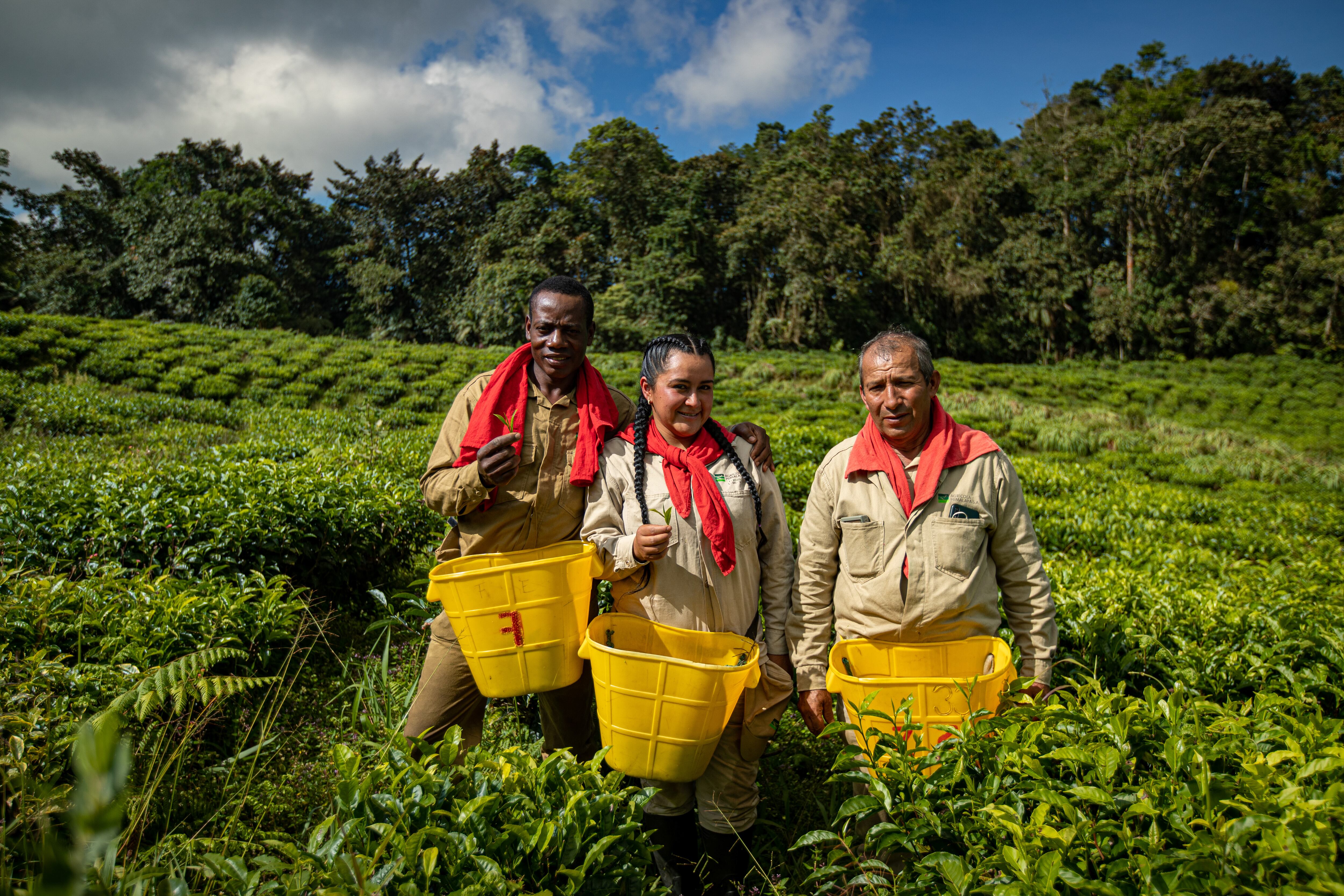 El turismo industrial se suma a las apuestas por el turismo de salud y gastronomía.