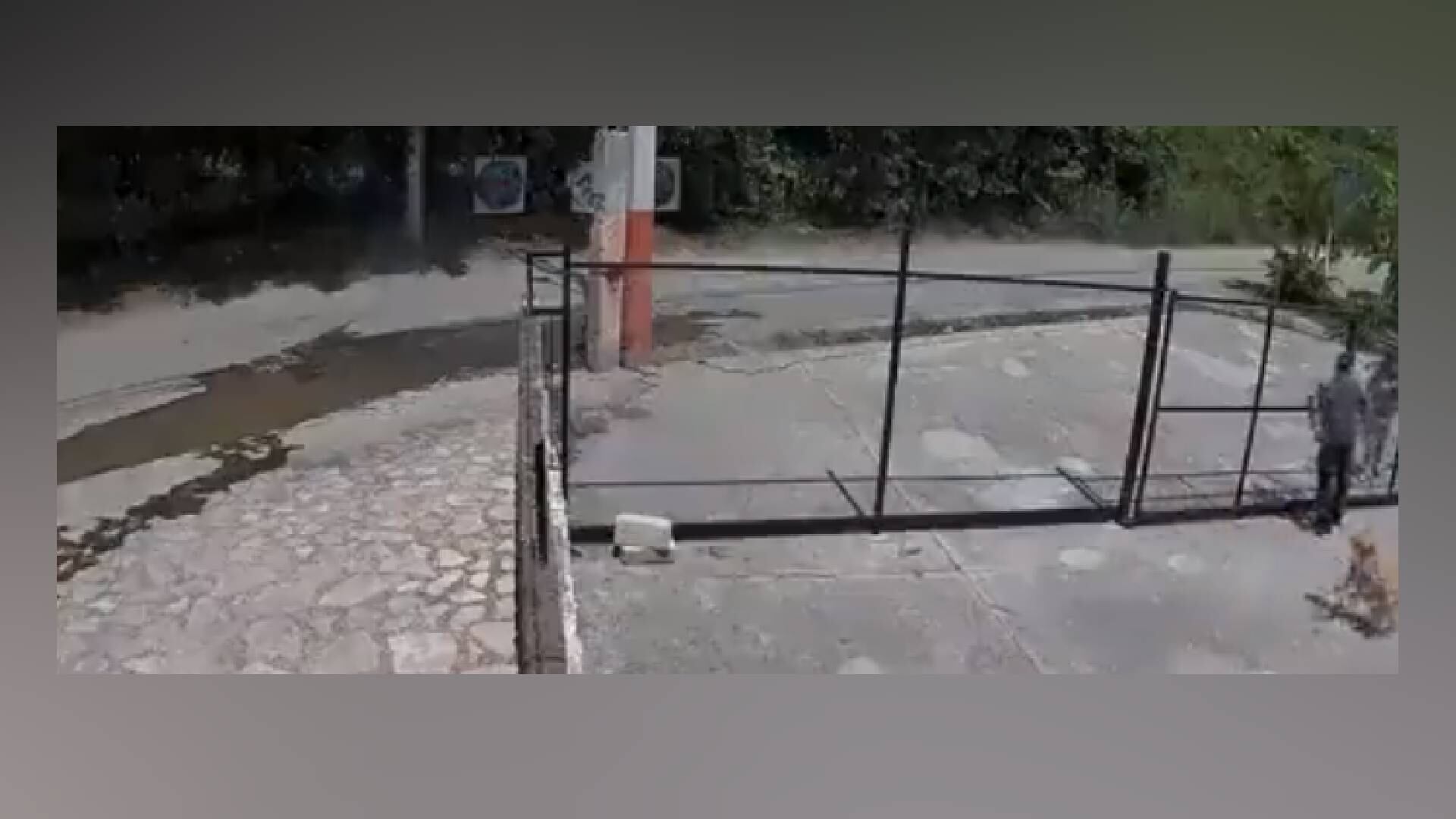 Twitter @WallaceIsabel