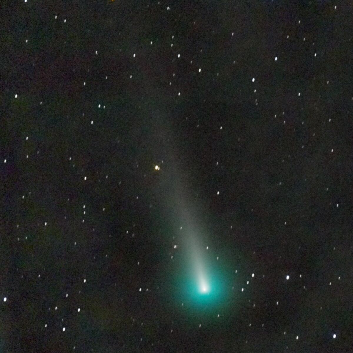 Esta fotografía tomada con un telescopio y publicada el 9 de diciembre de 2021 muestra el cometa C / 2021 A1 Comet Leonard, que vino de los confines más lejanos del sistema solar, a punto de pasar "muy cerca" de la Tierra, a 35 millones de kilómetros. , y su pelo largo será visible en el hemisferio norte, según el Observatorio Paris-PSL. (Foto de Nicolas BIVER / Observatoire de Pris - PSL / AFP) / RESTRINGIDO A USO EDITORIAL - CRÉDITO OBLIGATORIO "AFP PHOTO / Nicolas Biver - LESIA / Observatoire de Pris - PSL" "- SIN MARKETING - SIN CAMPAÑAS PUBLICITARIAS - DISTRIBUIDO COMO SERVICIO A los clientes