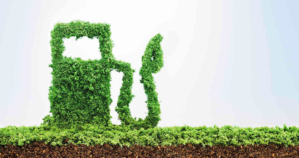 Combustibles limpios si, pero a su tiempo