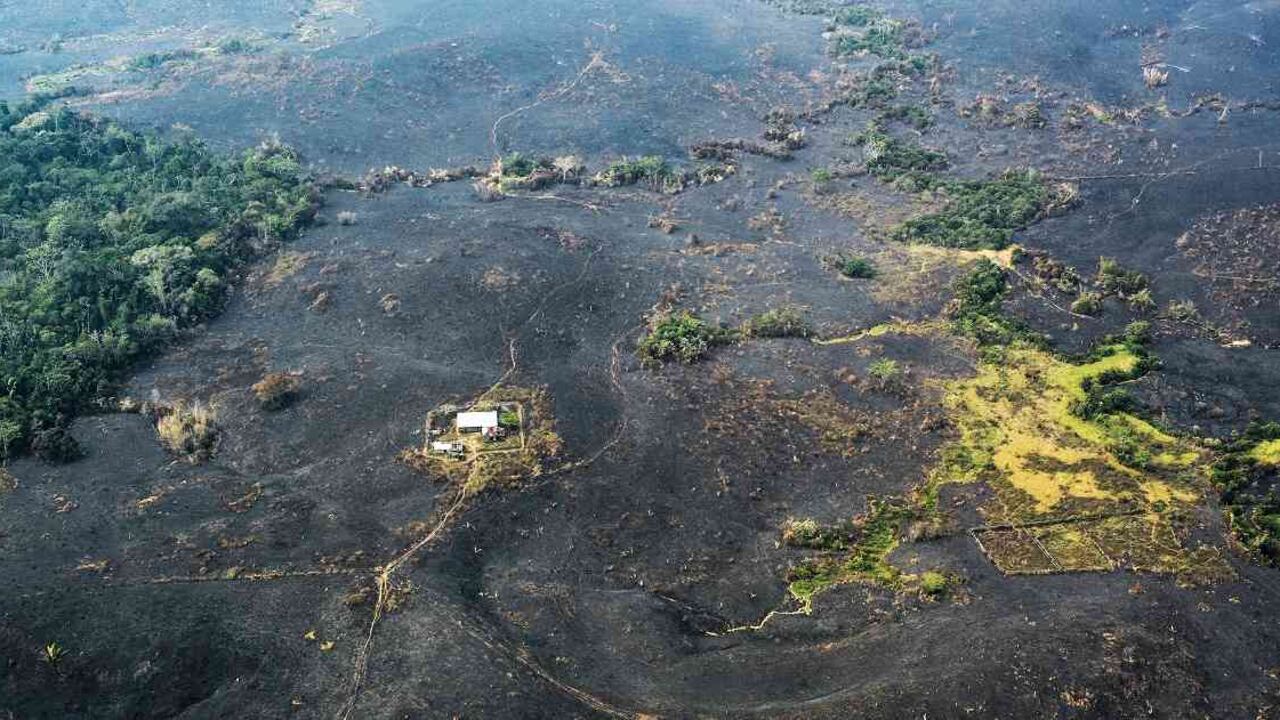 Deforestación en la Amazonía