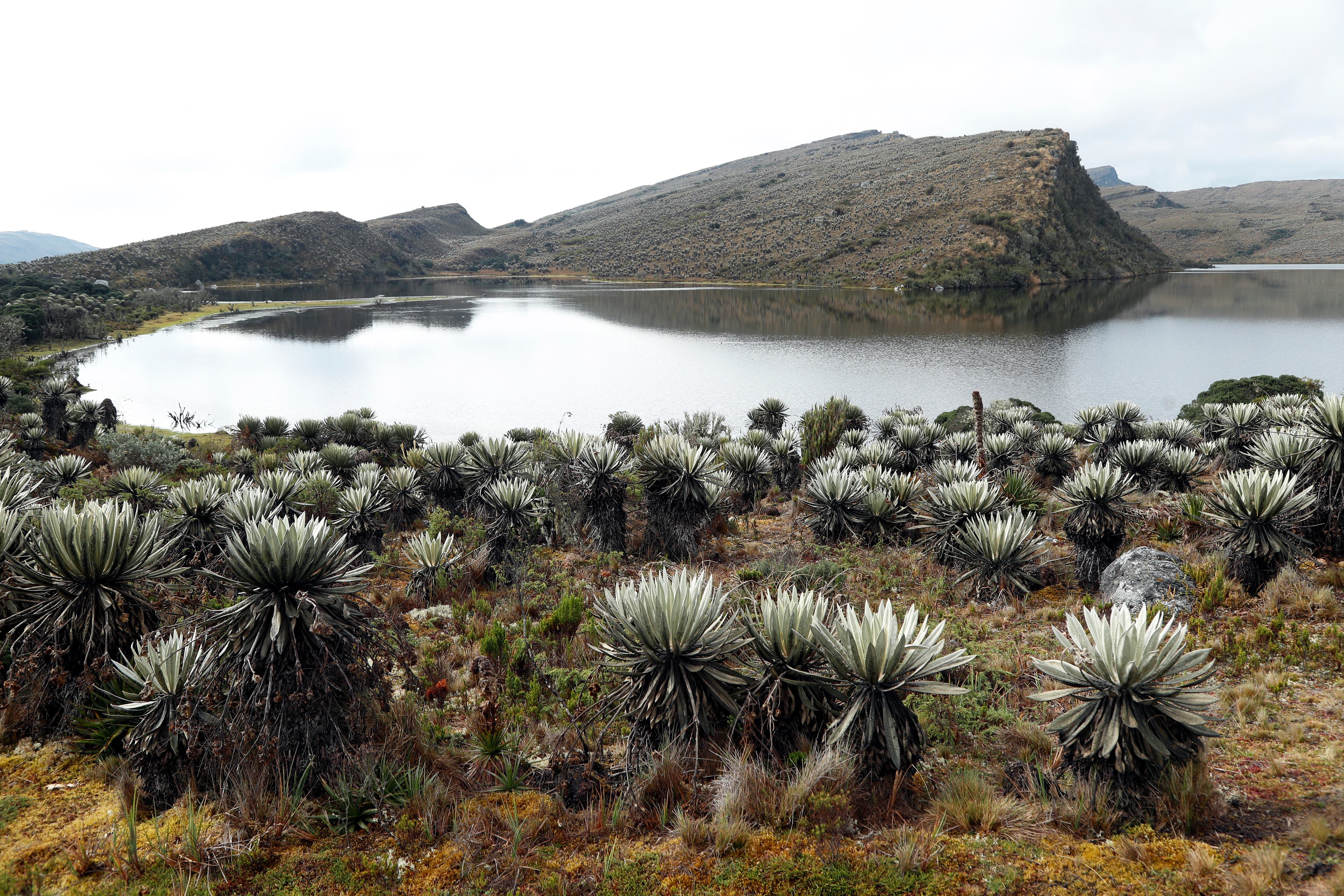 Esta extensión montañosa, que supera las 300 mil hectáreas, es la fuente hídrica más importante de Colombia.