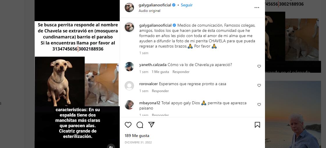 recompensa que ofrece Galy Galiano por recuperar su pequeña perra "Chavela"