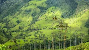 Eje Cafetero: pujanza, ecoturismo y tradición