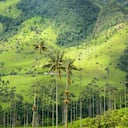 Eje Cafetero: pujanza, ecoturismo y tradición