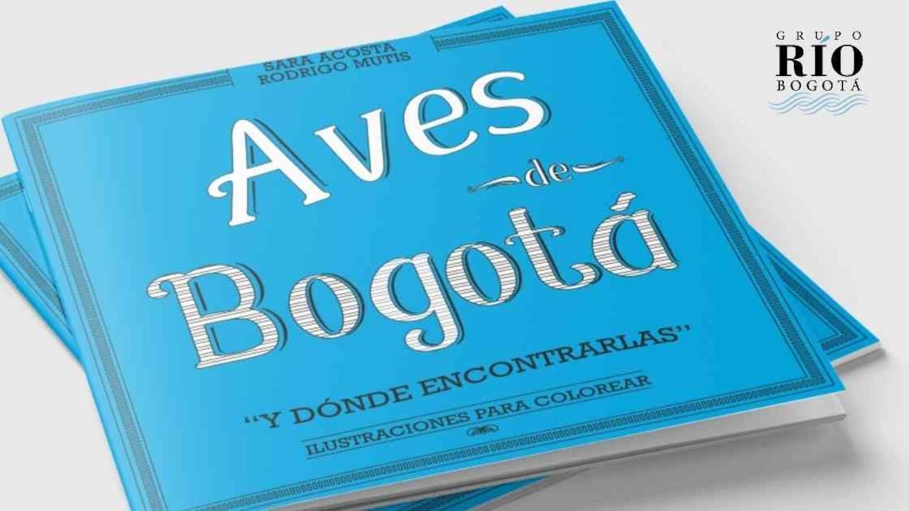 La tingua azul, la tingua moteada, el pato turrio, el cóndor andino, la mirla, el copetón y el chulo, son algunas de las las aves que pasaron por el arte de los biólogos. Foto: cortesía Zarigüeya Lectora.