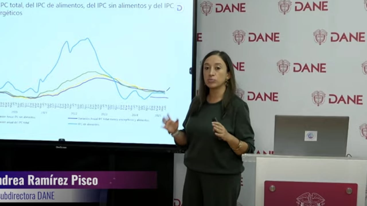 Andrea Ramírez, subdirectora del Dane.