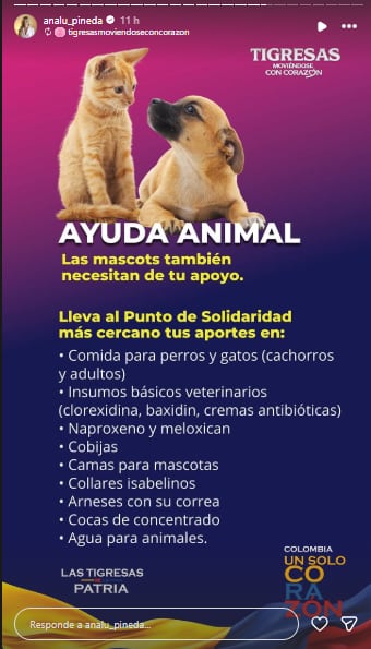 Ana Lucía Pineda, primera dama de Colombia, publicó lista de insumos para el rescate de mascotas.
