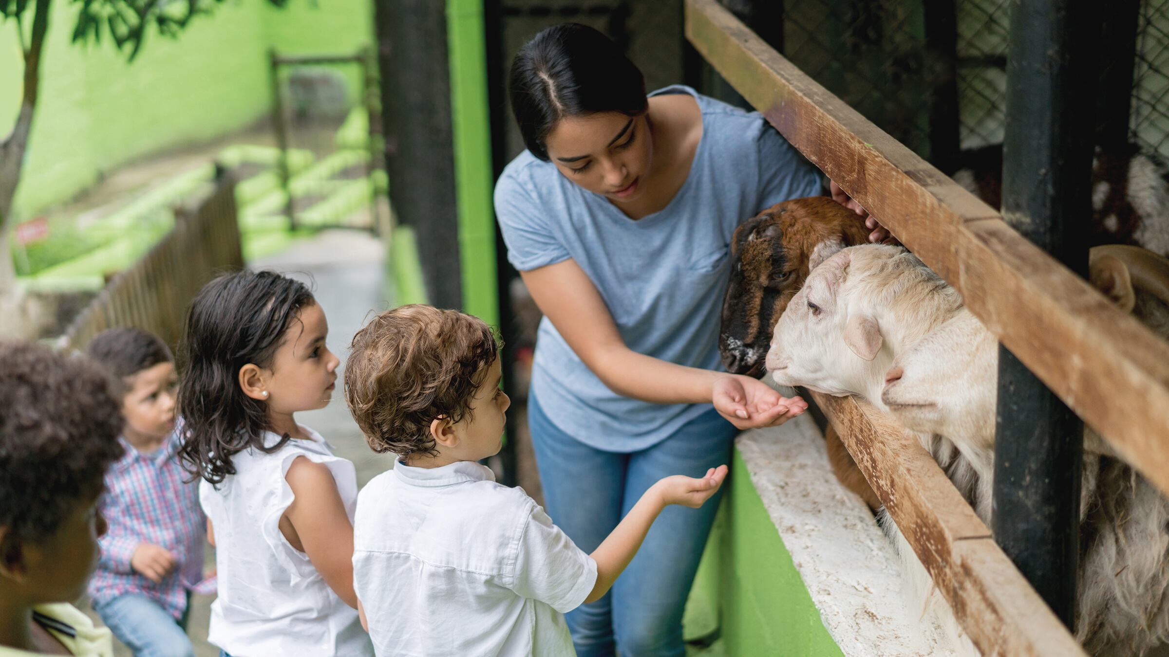 La “Cundigranga” es un espacio pensado para los niños, donde podrán interactuar con 102 animales de especies menores.