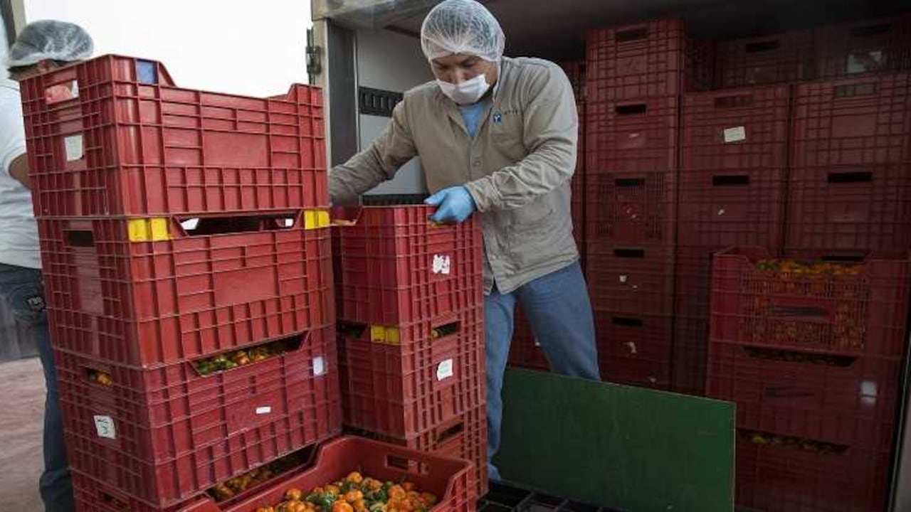 Dinero habló con Philip Blumberg, CEO y presidente de Blumberg Partners y David Blumberg, CEO de Blumberg Grain, con el objetivo de conocer cuáles podrían ser los beneficios en materia económica para el país. Foto: Bloomberg